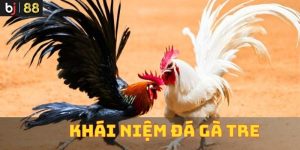Khái niệm về đá gà tre